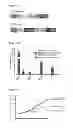 Fig. 44 - Compositions and methods for treating leukemia