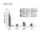 Fig. 47 - Compositions and methods for treating leukemia