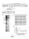Fig. 02 - Extracellular matrix heparin-binding domains