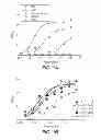 Fig. 02 - Expression and secretion system