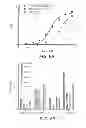 Fig. 07 - Expression and secretion system