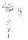 Fig. 06 - Surgical access system and related methods