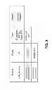 Fig. 09 - Device and method for removal of blood-borne pathogens, toxins and inflammatory cytokines