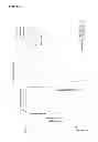 Fig. 02 - Graduated compression garments