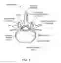 Fig. 02 - Tissue access guidewire system and method