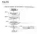 Fig. 41 - DATA MANAGEMENT APPARATUS AND METHOD THEREOF