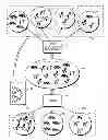 Fig. 01 - Systems and methods for cluster analysis with relational truth