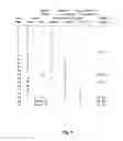 Fig. 06 - Order-independent stream query processing