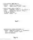 Fig. 09 - Order-independent stream query processing