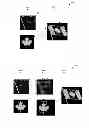 Fig. 03 - Method and system for image search
