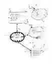Fig. 01 - DELIVERING MESSAGES OVER MULTIPLE COMMUNICATION PATHS