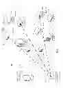 Fig. 02 - Downloading a code image to remote devices