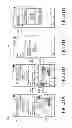 Fig. 22 - METHOD AND APPARATUS FOR PROVIDING CLIPBOARD FUNCTION IN MOBILE DEVICE