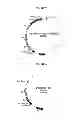 Fig. 09 - PAPAVER BRACTEATUM WITH MODIFIED ALKALOID CONTENT
