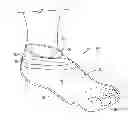 Fig. 01 - LOW CUT SOCK