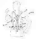 Fig. 01 - TWO FASTENER SUSPENDERS