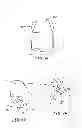 Fig. 06 - TWO FASTENER SUSPENDERS