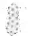 Fig. 04 - Article of footwear with sole projections