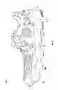 Fig. 10 - Article of footwear with sole projections