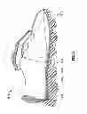 Fig. 13 - Article of footwear with sole projections