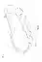 Fig. 14 - Article of footwear with sole projections