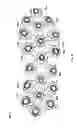 Fig. 24 - Article of footwear with sole projections