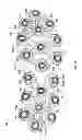 Fig. 25 - Article of footwear with sole projections