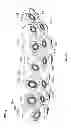 Fig. 26 - Article of footwear with sole projections