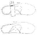 Fig. 02 - INSOLE WITH ARCH STRAP