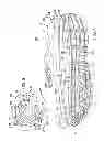 Fig. 02 - Flex groove sole assembly with biasing structure