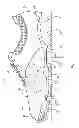 Fig. 02 - GOLF SHOE