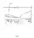 Fig. 09 - GOLF SHOE