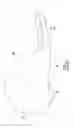Fig. 02 - HOCKEY SKATE