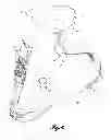 Fig. 11 - Ski/walk mechanism