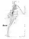 Fig. 16 - Ski/walk mechanism