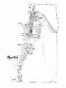 Fig. 18 - Ski/walk mechanism