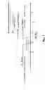 Fig. 07 - Biorefinery system, methods and compositions thereof
