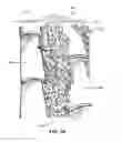 Fig. 16 - Pan tile roofing system