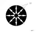 Fig. 06 - Hearts & Arrows SiC Gemstone