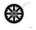 Fig. 07 - Hearts & Arrows SiC Gemstone