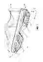 Fig. 02 - Wearable Ground Reaction Force Foot Sensor
