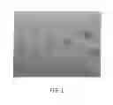 Fig. 02 - Coating composition having mechanochromic crystals