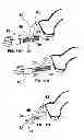 Fig. 05 - Animal Claw Shearing Apparatuses and Methods of Using the Same