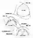 Fig. 02 - WEATHER DOME