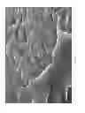 Fig. 06 - SELF-SUSPENDING PROPPANTS FOR HYDRAULIC FRACTURING