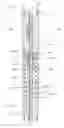 Fig. 01 - Downhole pressure compensating device