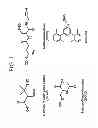 Fig. 02 - Amperometric sensors and devices for measuring concentration of S-nitrosothiols based on photo-induced decomposition of S-nitrosothiols
