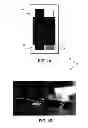 Fig. 02 - Electrochemical detection of capsaicinoid compounds in a sample