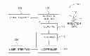 Fig. 01 - INDUCTION COOKTOP PAN SENSING