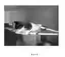 Fig. 08 - Vertical takeoff and landing roadable vehicle